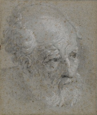 Lot 11 - Caliari (Carlo, 1570-1596). Head of an Old Man, black and white chalk