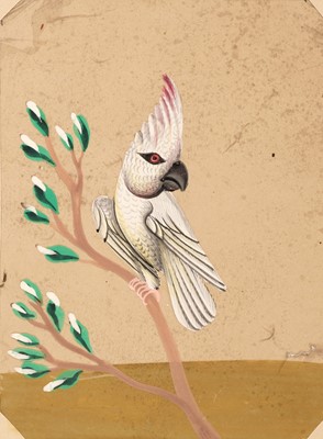 Lot 20 - Company School. An album of fifty-eight Indian mica paintings, circa 1850