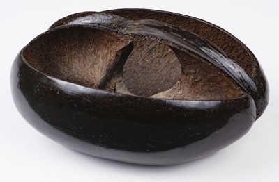 Lot 25 - Seychelles. A fine example of this Coco de Mer (Lodoicea maldivica) seed