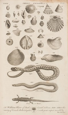 Lot 38 - Borlase (William). The Natural History of Cornwall, 1st edition, 1758