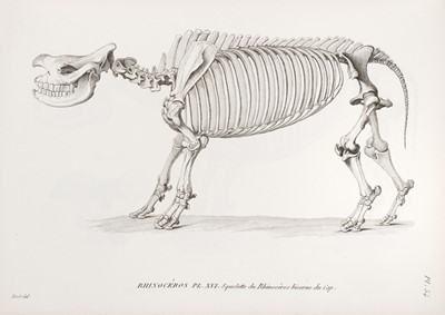 Lot 46 - Cuvier (Georges). Recherches sur les Ossemens Fossiles, 4th edition, 1834-36