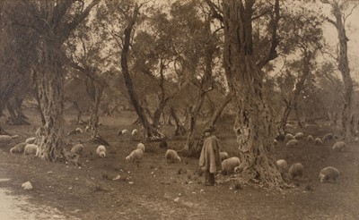 Lot 9 - Boissonnas (Frédéric, attributed to). Shepherd boy with his sheep in an olive grove, c. 1910