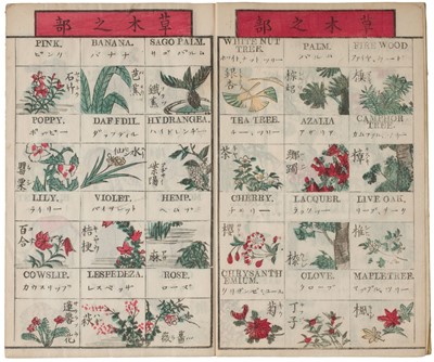 Lot 10 - Na (Sudo). Picture book with Japanese-English translation, 1887