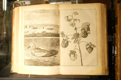 Lot 15 - Le Bruyn (Cornelius). Travels into Muscovy, 2 volumes, 1st edition in English, 1737