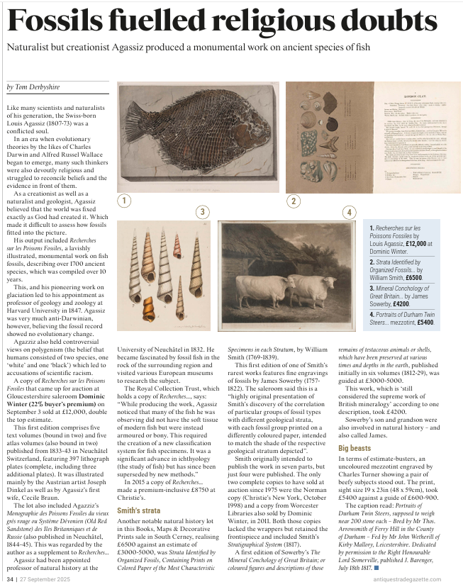 Dominic Winter Auctioneers in the News: Antiques Trade Gazette, Fossils